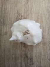 Wedgewood Nautilus Collection Bone China Conch Shell 4.5