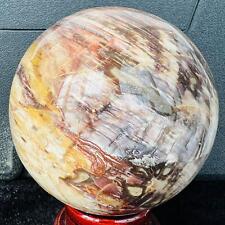 Natural Wood Fossil Decoration Polished Wood Grain Fossil Decor Crystal 3.64LB picture