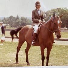Horse & Equestrian Rider 1971 Pretty Horse Original Snapshot Vintage Photo picture