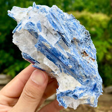 1.37LB Rare Natural beautiful Blue KYANITE with Quartz Crystal Specimen Rough picture