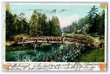 1907 Rustic Bridge Over Old Channel Charlevoix Michigan MI Antique Postcard picture