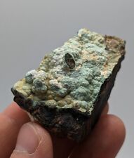 Super Rare Kidwellite, Strengite, Beraunite Combo -York Mine, Polk Co, Arkansas picture