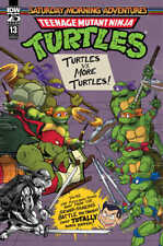 Teenage Mutant Ninja Turtles: Saturday Morning Adventures #13 Cover A (Myer) picture