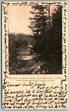 Chambers Creek Tacoma Railway & Power Co Tacoma WA 1906 PMC UDB Postcard J10 picture