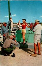 Postcard Man & Woman Comparing Catches at Marina Flamingo Florida FL 1965   Y809 picture
