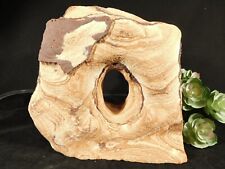 BIG Abstract Navajo SANDSTONE ARCH Sculpture with Hematite From Utah 3161gr picture