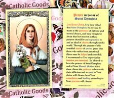Prayer in honor of St. Saint Dymphna - Laminated  Holy Card 800-1763 picture
