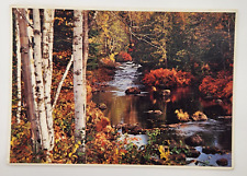 vintage postcard Autumn Woods Minnesota's northern Vacationland unposted picture