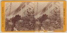 MASSACHUSETTS SV - Waltham Greenhouse - HF Warren 1860s picture