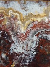 Crazy Lace Agate Mexico, Gorgeous Large slab, Old stock 4 1/4in X 4in X 1/4 picture