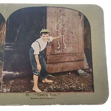 Antique Griffith & Griffith Stereoview Card, #87 