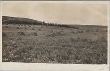 RPPC 1913 Alfalfa Field Bison Oklahoma? photo postcard E678 picture