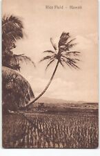 1930s Honolulu Rice Field w Palm~Hawaii South Sea Curio 130B Sepia -L1 picture