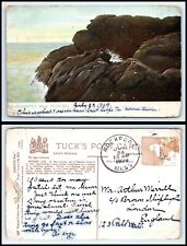 MASSACHUSETTS Postcard TUCKS 1909 Gloucester, Mother Ann H15 picture