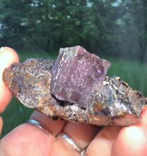 GORGEOUS PURPLE FLUORITE CRYSTALS with SPHALERITE ELMWOOD TENNESSEE picture