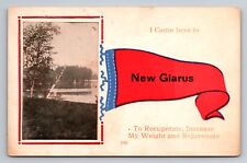 Pennant Postcard New Glarus Wisconsin Antique Posted 1917 Postcard picture