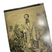 Distinguished Man Antique Tintype Photo Handsome Beard Mustache Posed 2x3