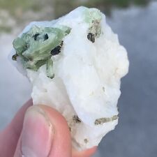Diopside Crystals in Calcite w/ Mica from Badakhshan AFGHANISTAN 75g picture