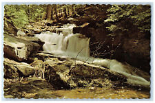 c1950's Beautiful Falls in Small Roadside Park Chesterfield NH Postcard picture