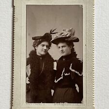Antique Cabinet Card Photograph Beautiful Fashionable Women Hat Hornellsville NY picture