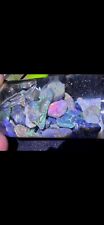 Rough Black Opal Parcel From Lightning Ridge Australia Nice Cutters picture