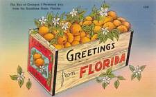 Florida FL Oranges Postcard Tavares Palatka Ft Walton Stuart Palm Bay Eustis picture