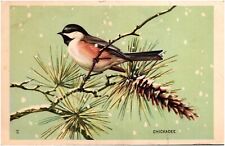 Chickadee Bird & Pinecone in Snow National Wildlife Federation 1939 Postcard picture