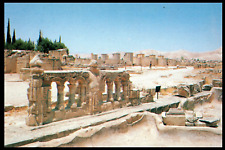Vintage Postcard Old City of Jericho Jerusalem Israel Religious picture