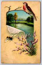c1910s Bird Art River Flowers Embossed Vintage Postcard picture