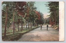 Vallamont Drive Williamsport Pennsylvania 1908 Antique Postcard picture