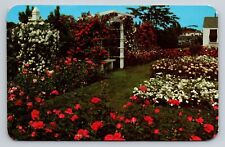 Newark NY New York Jackson & Perkins Rose Garden Vintage Postcard View 1950s picture