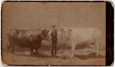 C. 1880s CABINET CARD JACOBY OLD BEARDED MAN HOLDING TWO BULLS MINNEAPOLIS MINN. picture