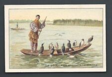 Fishing with Cormorants Bird Hunting China ca 1900 picture