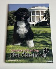 Fridge Magnet / Bo Obama / Americas First Dog / White House Portrait picture