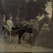 Antique Tintype Photograph Handsome Man Men Horse Buggy Carriage Gay Int picture