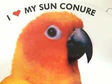 Sun Conure / Sun Parakeet Parrot Exotic Bird Vinyl Decal Bumper Sticker picture