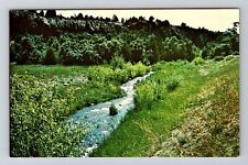 Colorado City Co-Colorado, Greenhorn Creek, Vintage Postcard picture