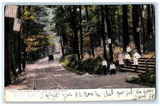 c1905 Steps To Eagle Rock Top Of Mountain Horse Carriage Montclair NJ Postcard picture