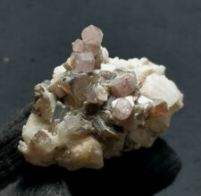 A cluster of gorgeous, gemmy, pink appetite grow out on Mucsovite picture