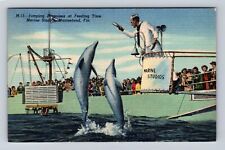 Marineland FL-Florida, Marine Studio, Feeding Porpoises, Vintage c1957 Postcard picture