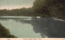 Postcard OH Sidney Ohio Tawawa Lake 1910 Antique Vintage PC f3580 picture
