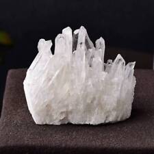 10Pcs 150g Large Natural Clear Quartz Crystal Cluster Stone Druzy Geode Specimen picture