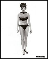 Hollywood Beauty SHIRLEY MACLAINE CHEESECAKE PORTRAIT 1950 SWIMSUIT Photo 741 picture