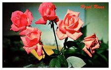 postcard Beautiful Regal Roses A1780 picture