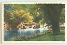 Postcard: Buffalo Creek, Milligan College - Milligan, Tennessee picture
