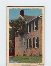 Postcard An Unusual House & Tree on Braddock St. Winchester Virginia USA picture