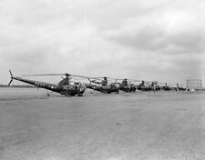 8x10 Print WWII Fleet of Sikorsky Helicopters 1944 #5502888 picture