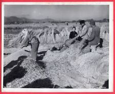 1945 Japanese Farmers Use Threshing Machine With Feet Wheat 8x10 Orig News Photo picture