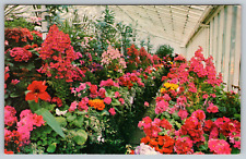 c1960s Butchart Gardens Victoria B.C. Green House Vintage Postcard picture