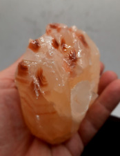 Yellow Calcite Large Palm Size 1 pound 2.8 ounces 3 3/4 inches long Mexico picture